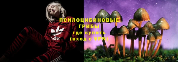 соль ск Нефтекумск