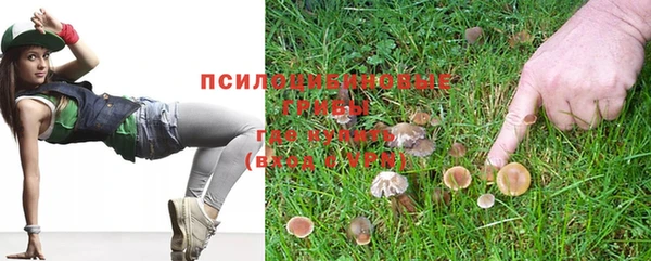 стафф Нея