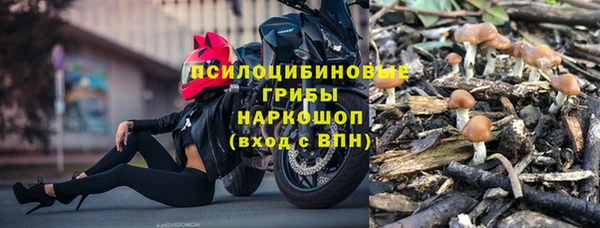 сатива Нефтегорск