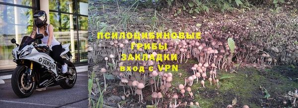 эйфоретик Новокубанск