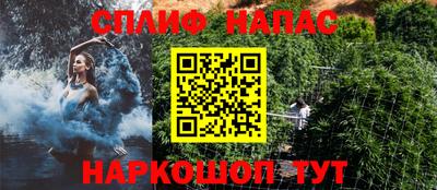 a pvp Будённовск