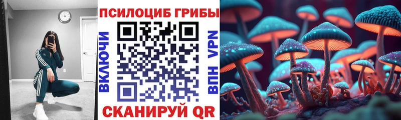 дарк нет телеграм Кондопога Галлюциногенные грибы мицелий