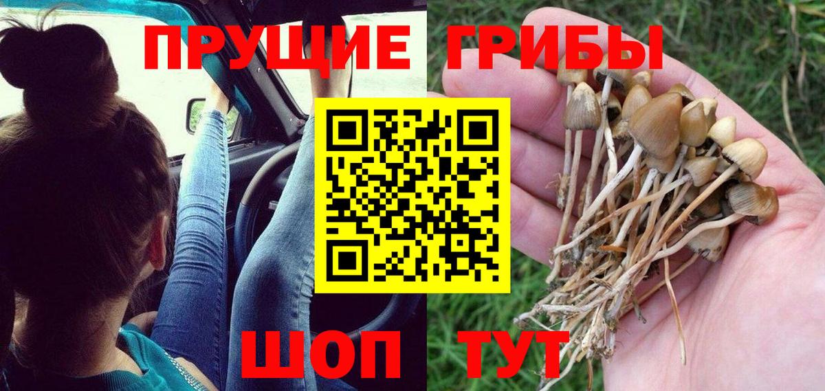 Псилоцибиновые грибы MAGIC MUSHROOMS  Кондопога  Псилоцибиновые грибы GOLDEN TEACHER 