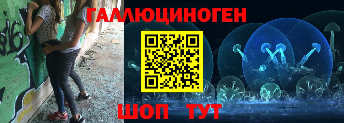 Галлюциногенные грибы Кондопога